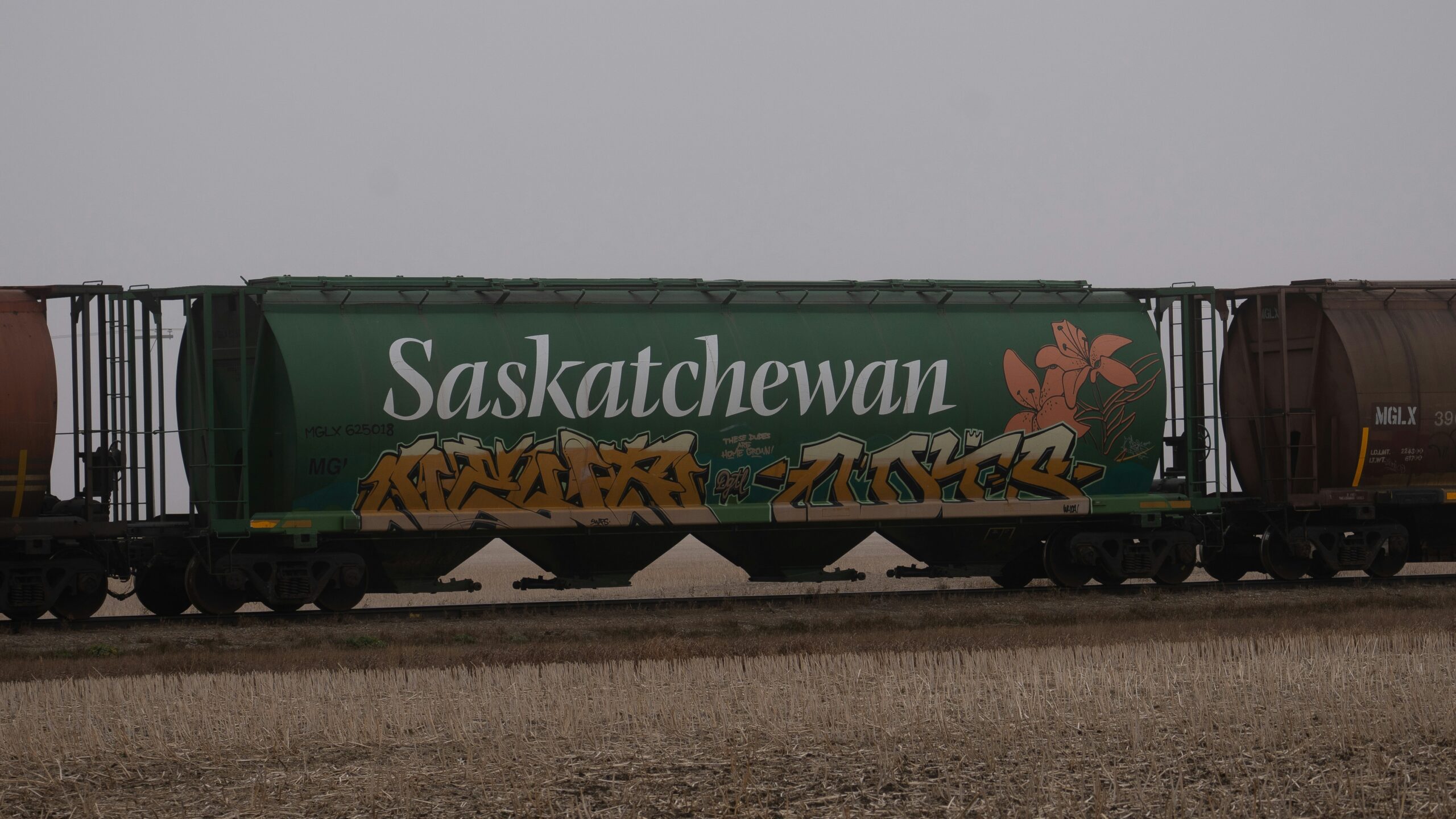 Saskatchewan SINP Guide 2026: Essential Deadlines and Rules for Capped Sectors