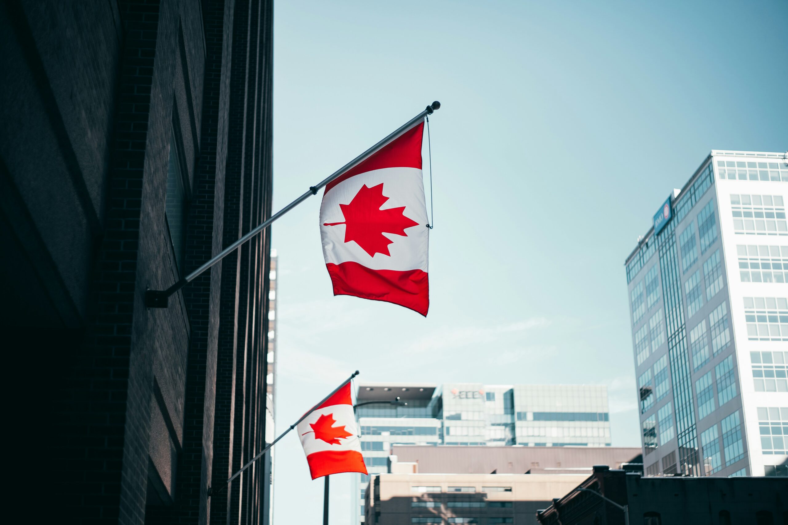 Navigating Canada’s LMIA Changes: A Step-by-Step Hiring Guide for Employers
